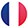 Change the language of the website into French